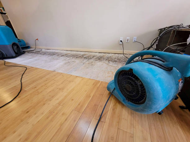 Reliable Burst Pipe Water Damage contractor in Evansville, IN by Hirex Water Damage