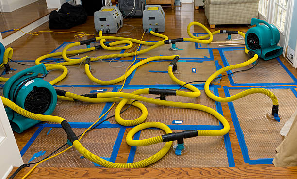 Professional Burst Pipe Water Damage technician working in Evansville, IN